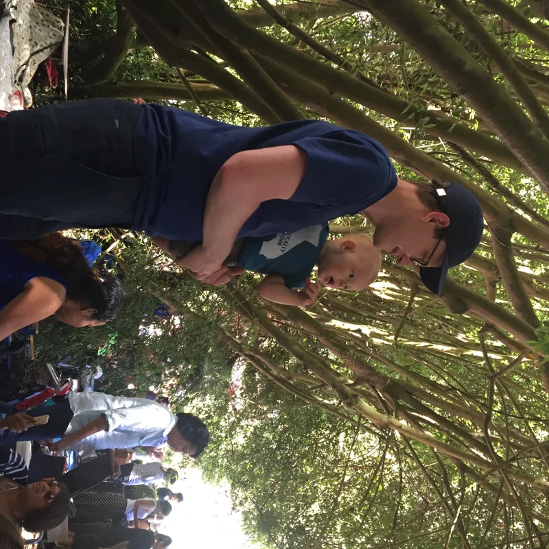 Jammin' at Stern Grove - feature image