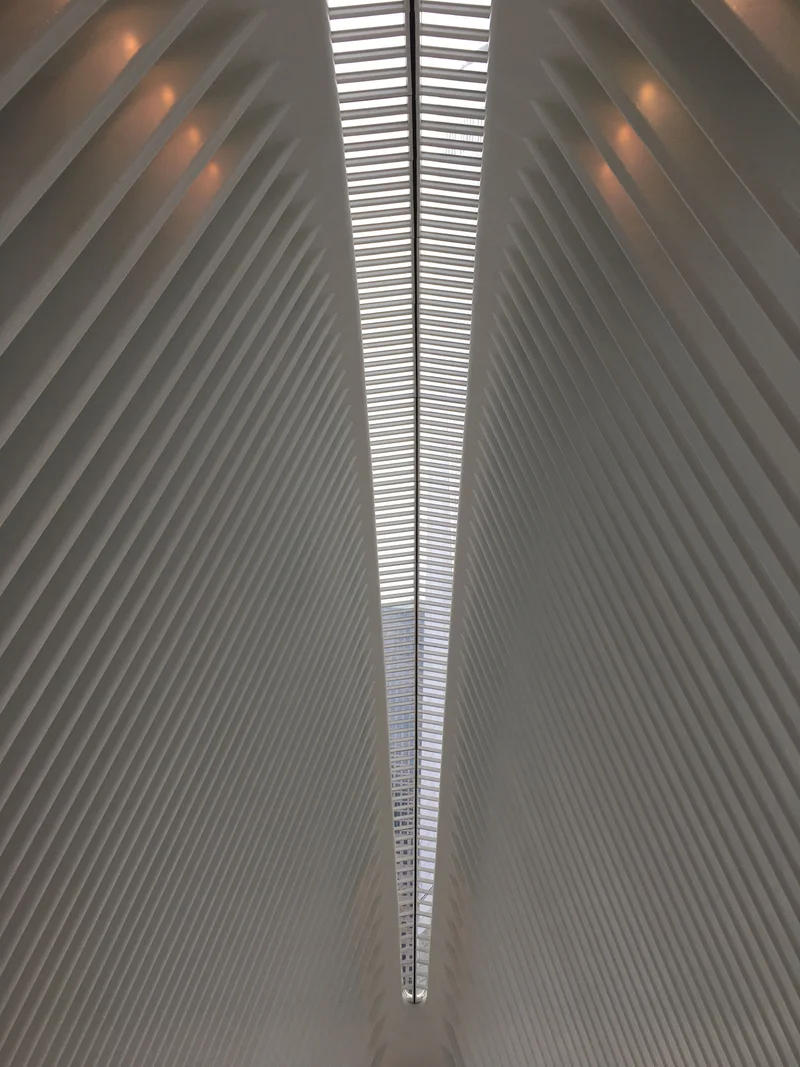 What a mall - gallery image 3