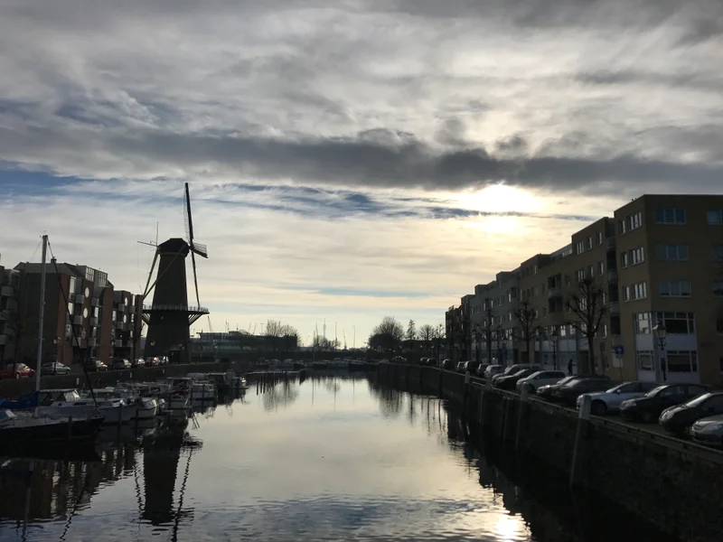 Rotterdam - gallery image 12