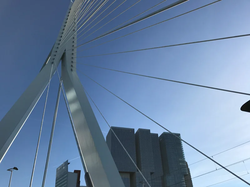 Rotterdam - gallery image 19