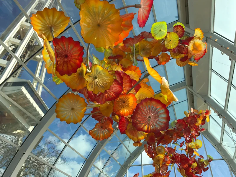 Sunny Seattle - gallery image 5