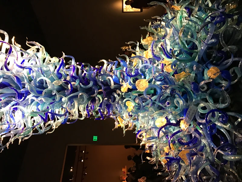 Sunny Seattle - gallery image 4