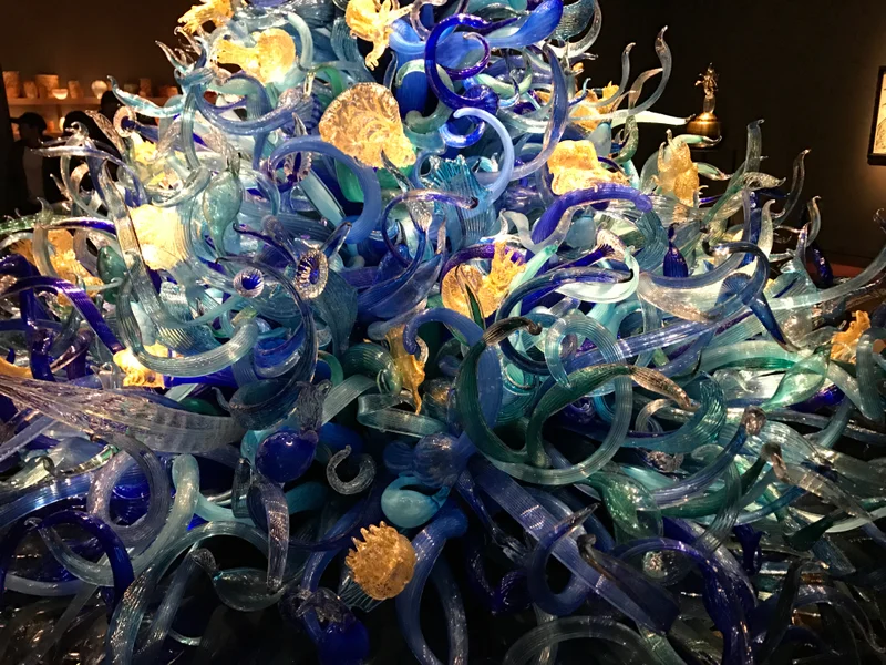 Sunny Seattle - gallery image 6