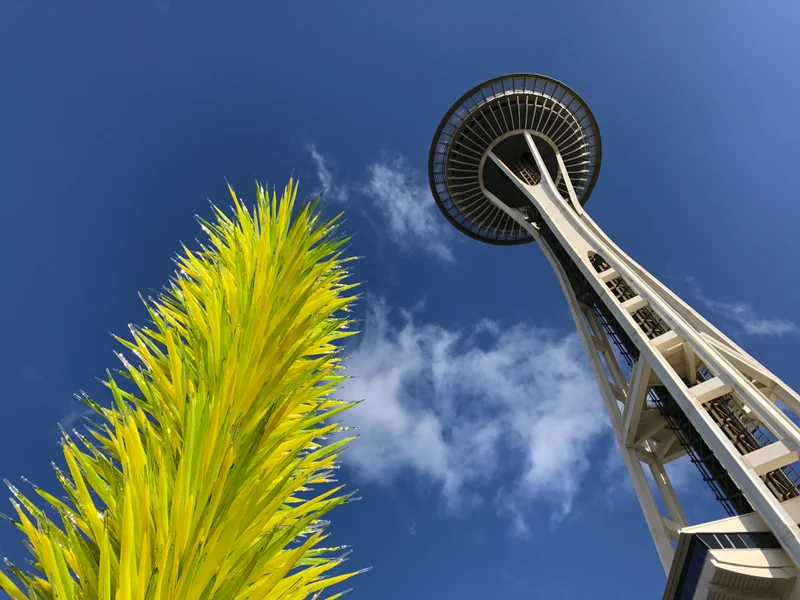 Sunny Seattle - gallery image 2