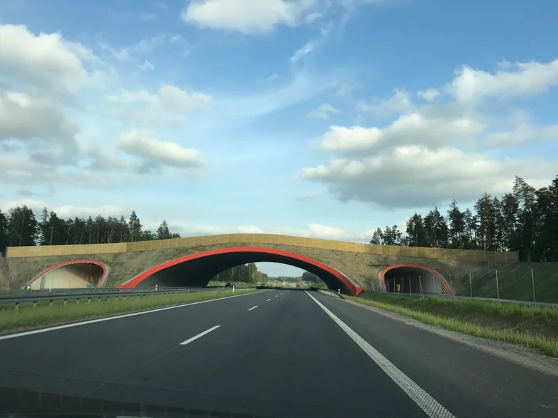 Masuria - gallery image 10