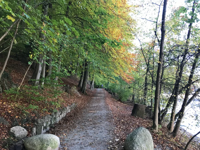 Bern - gallery image 11