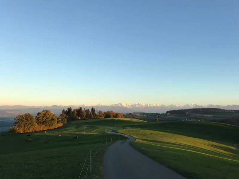 Bern - gallery image 7