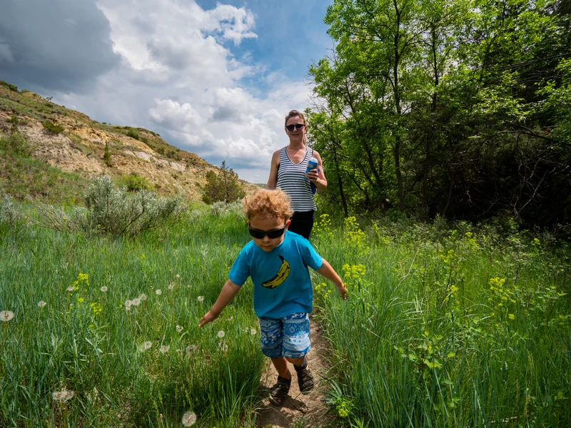 Roosevelt National Park - gallery image 10