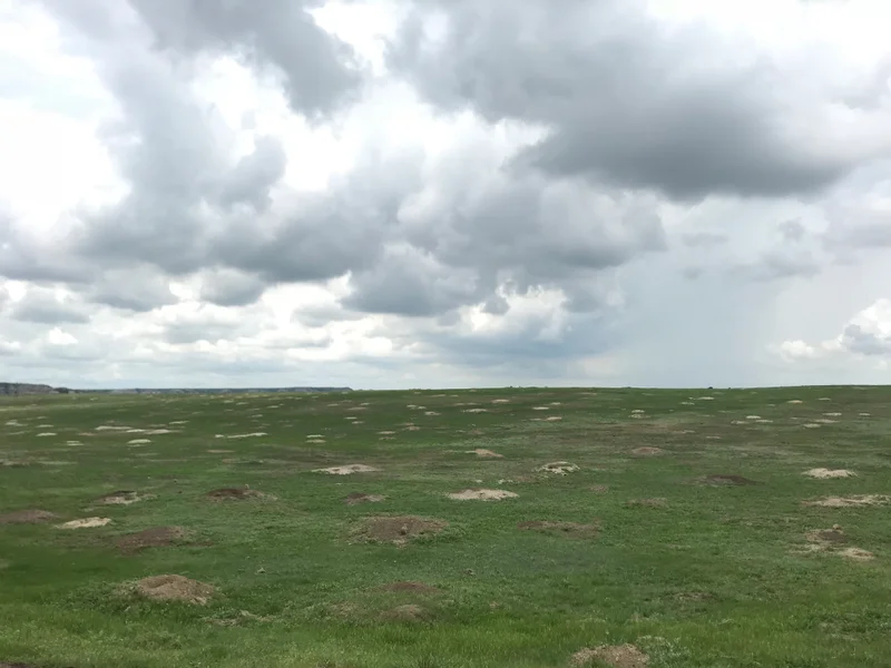 Roosevelt National Park - gallery image 2