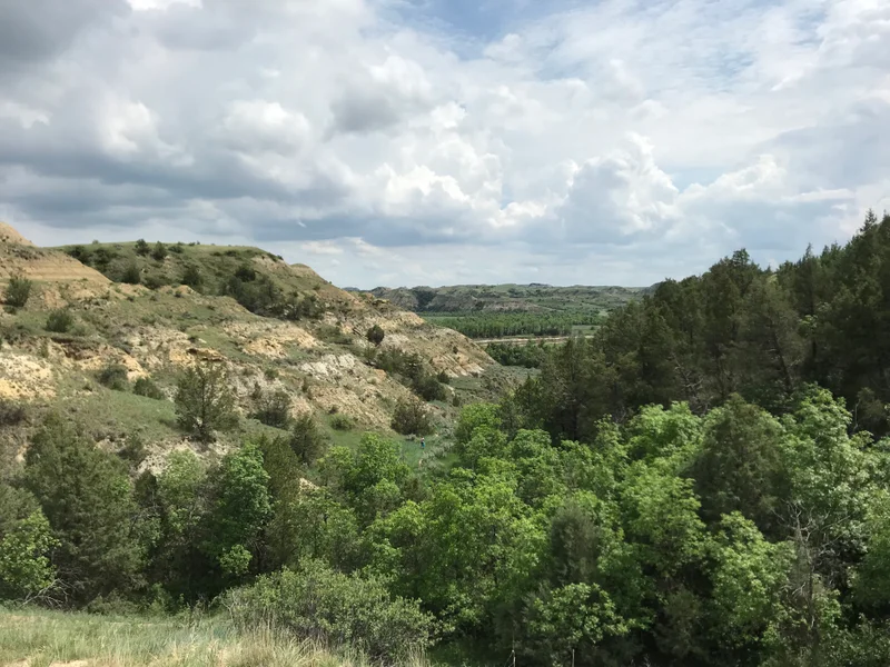 Roosevelt National Park - gallery image 1