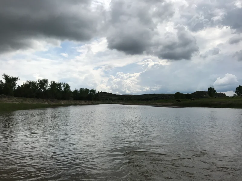 Roosevelt National Park - gallery image 8