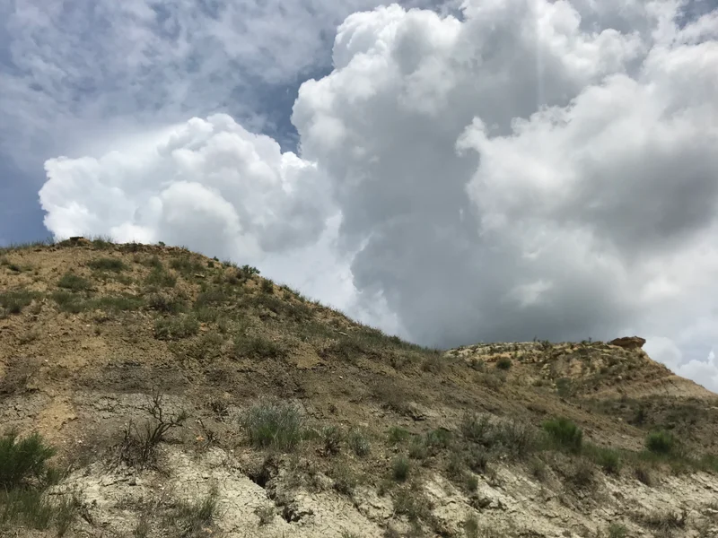 Roosevelt National Park - feature image