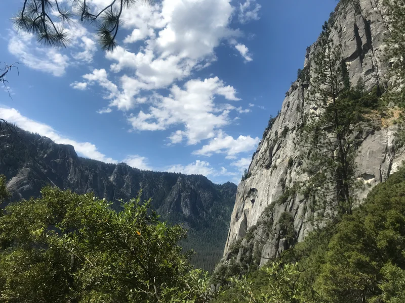 Yosemite - gallery image 6