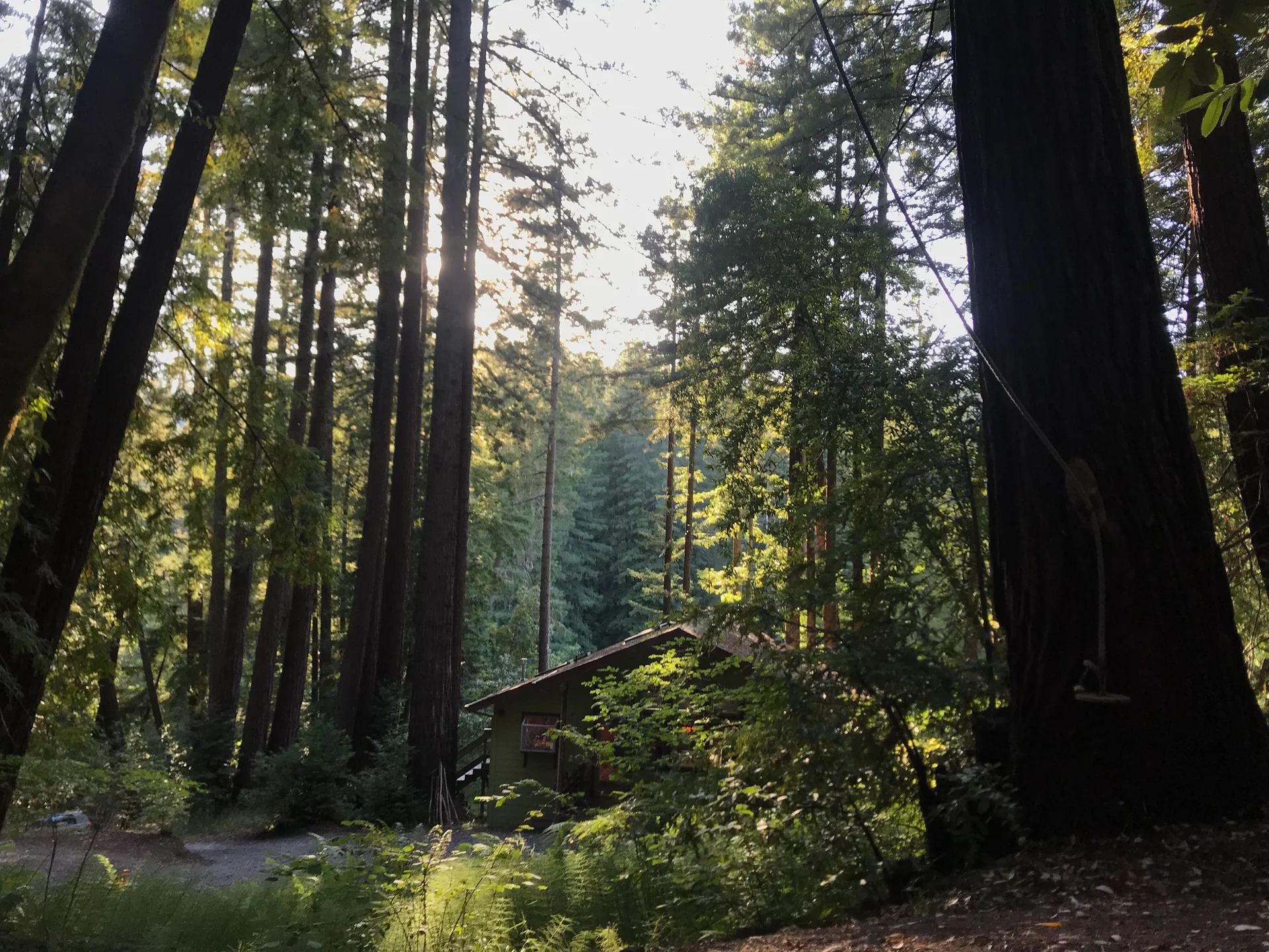 Cazadero - feature image