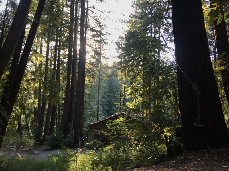 Cazadero - feature image