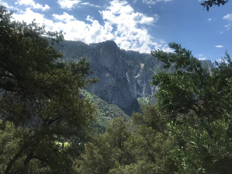 Yosemite - gallery image 8