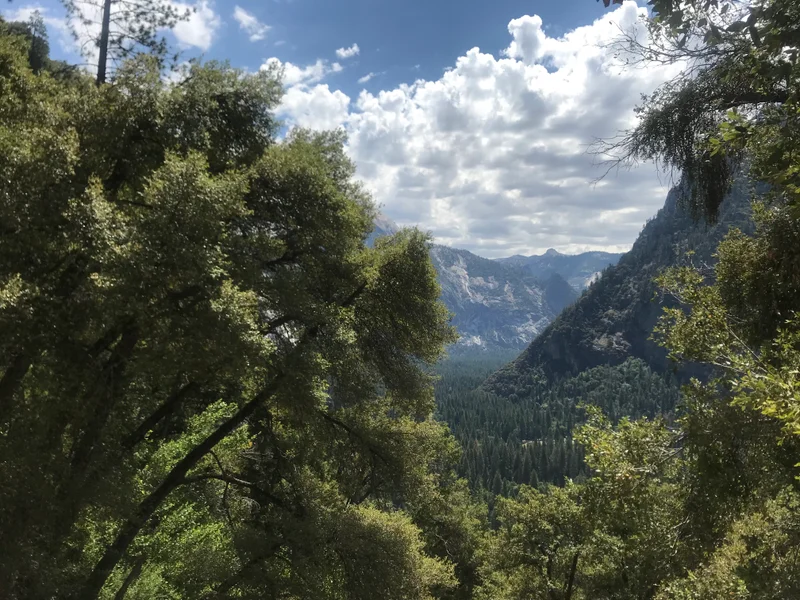 Yosemite - gallery image 3