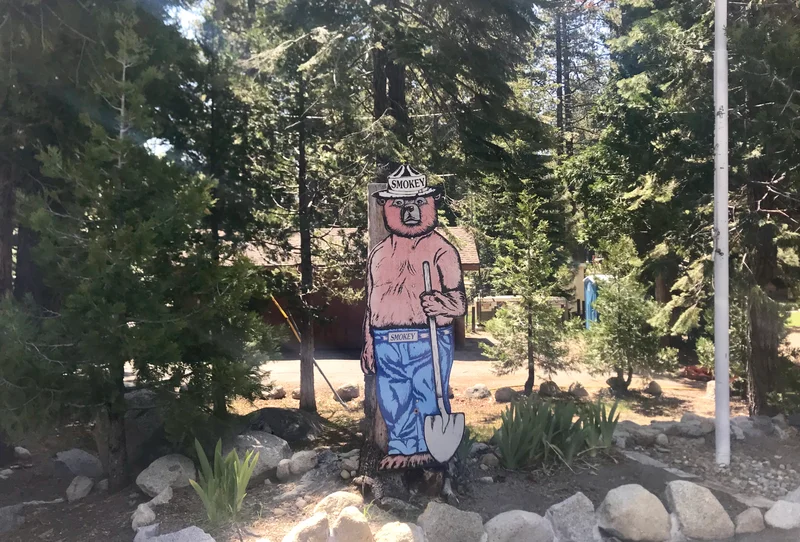 North Lake Tahoe - gallery image 3