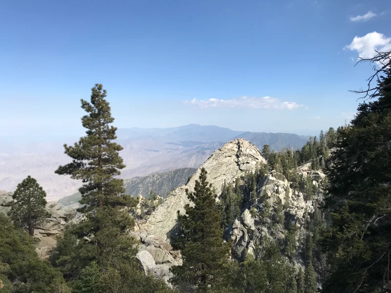 San Jacinto - gallery image 8