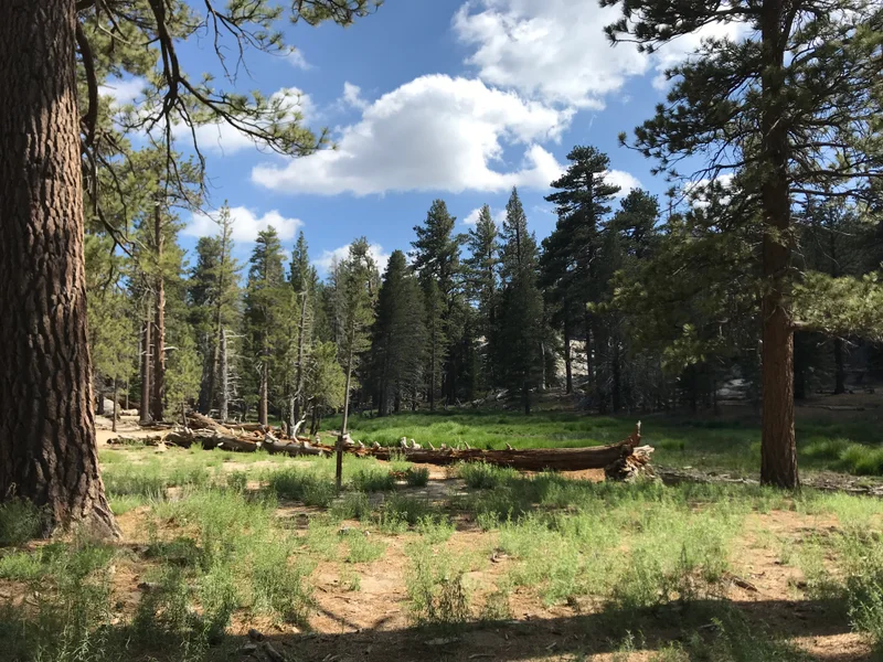 San Jacinto - gallery image 7