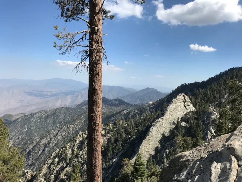 San Jacinto - gallery image 9