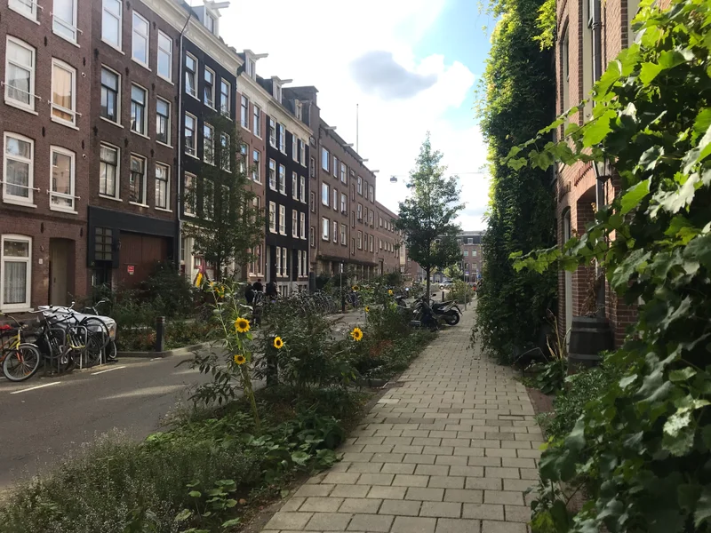 Amsterdam - gallery image 1