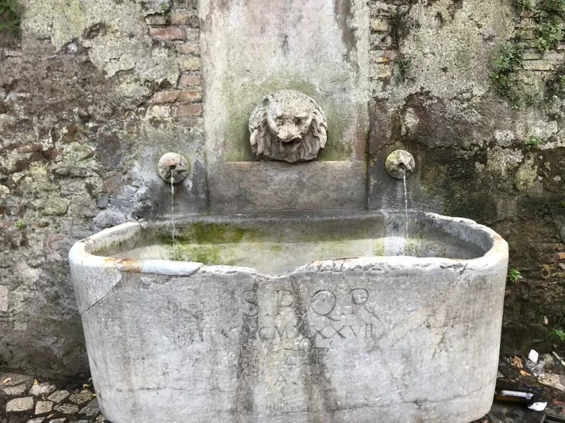 SPQR - gallery image 6