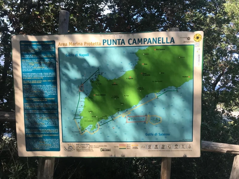 Sorrento - gallery image 20