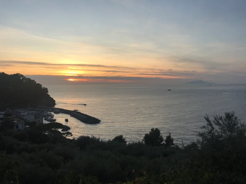 Sorrento - gallery image 5