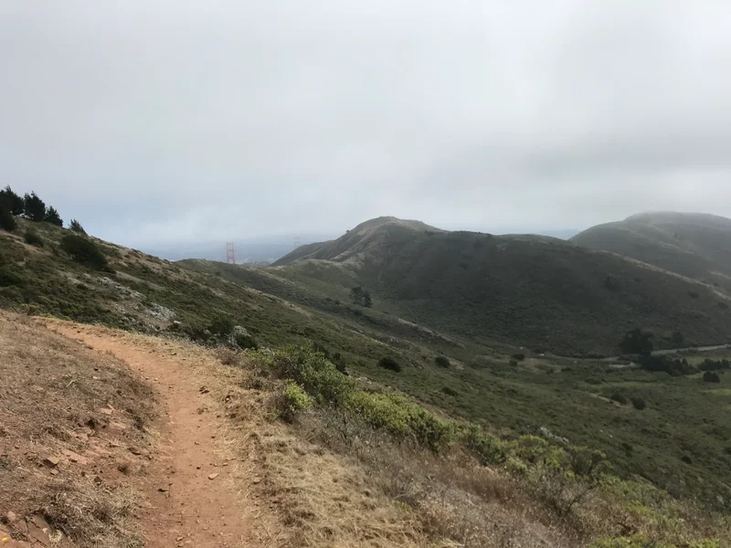 Marin Headlands - gallery image 1