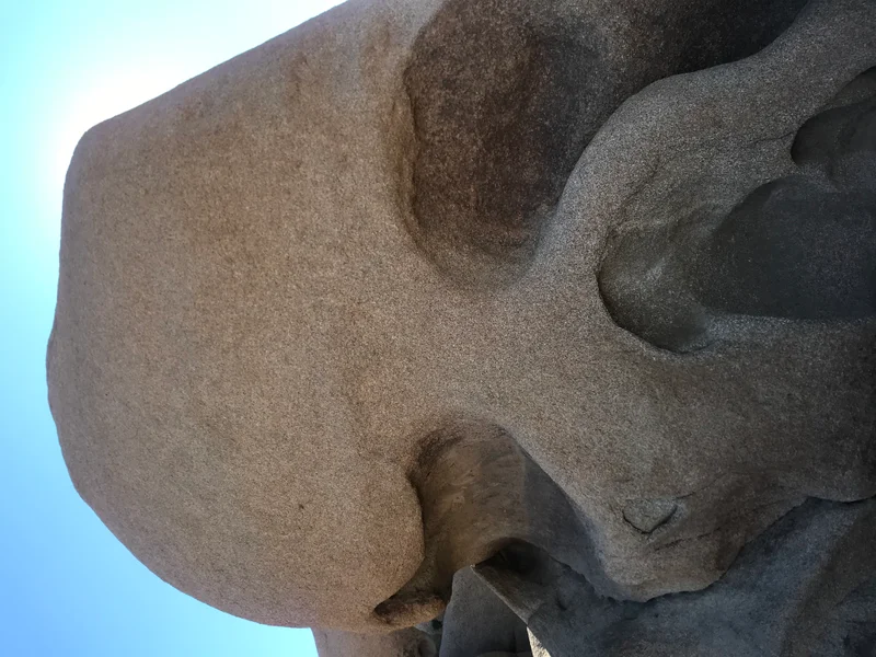 Palm Springs - gallery image 5