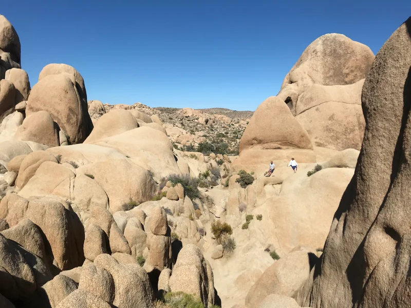 Palm Springs - gallery image 2