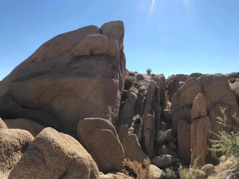 Palm Springs - gallery image 4