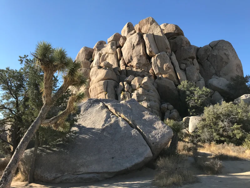 Palm Springs - gallery image 9