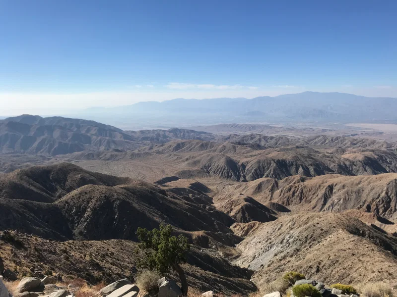 Palm Springs - gallery image 6