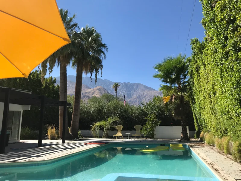 Palm Springs - gallery image 8