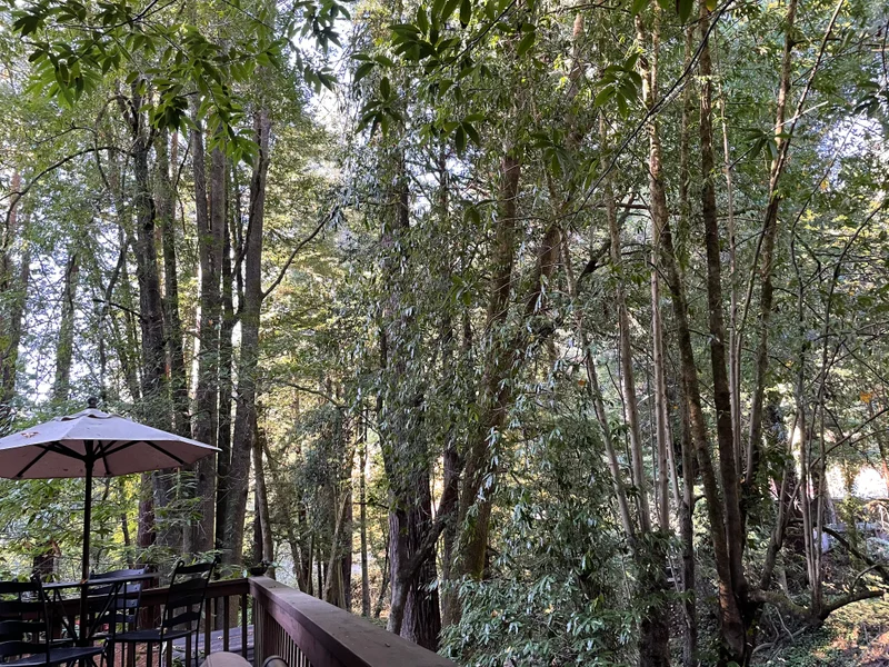 Sonoma - gallery image 5