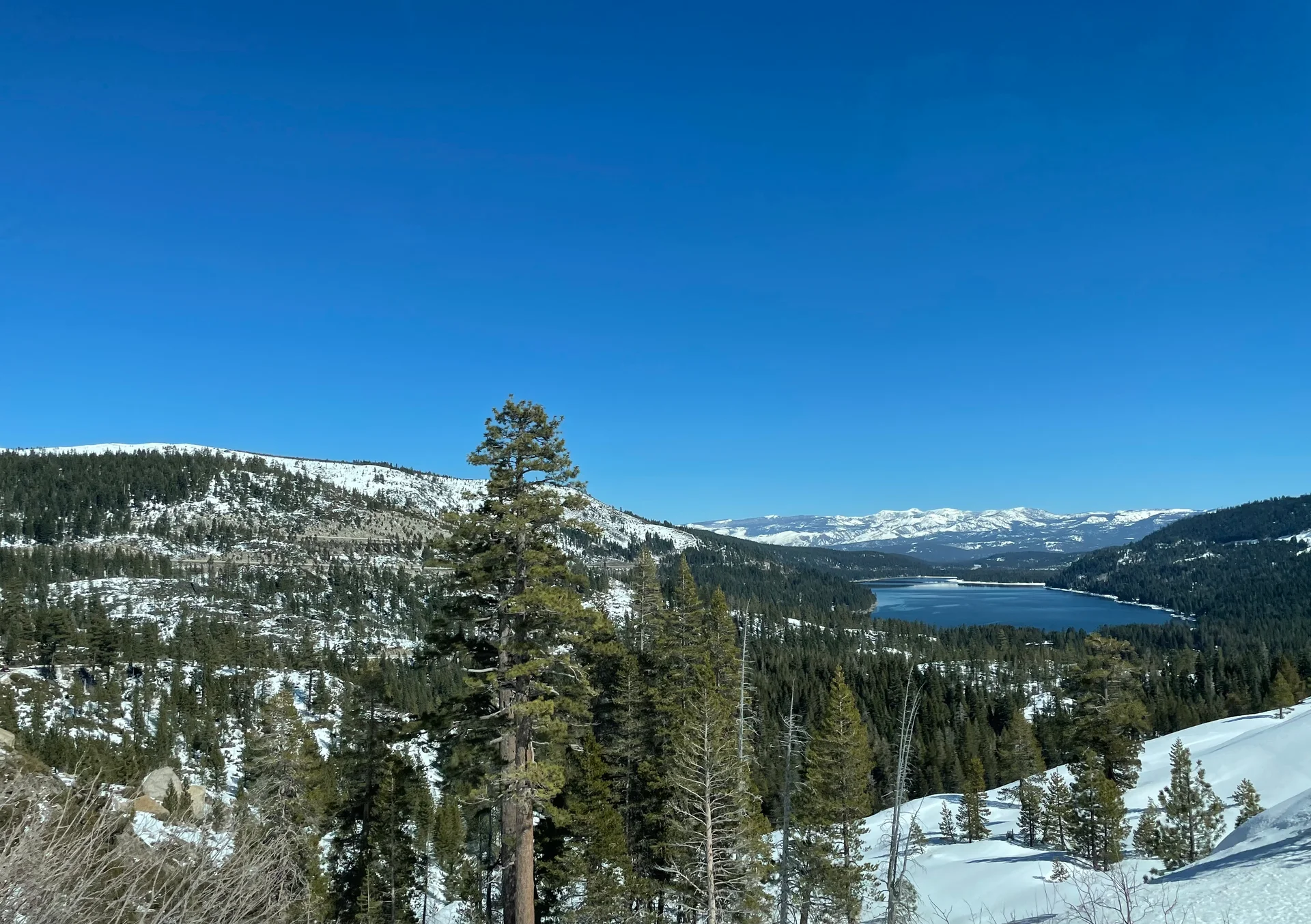 Donner - feature image