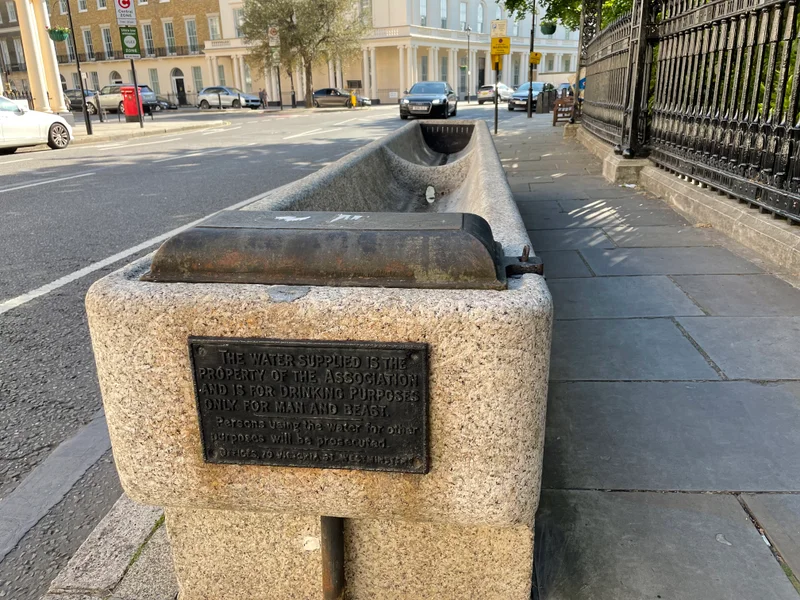 For Man and Beast - feature image