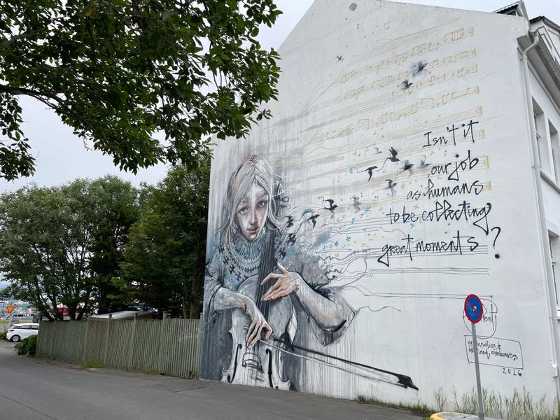 Reykjavik - gallery image 6