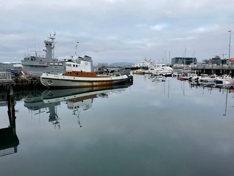 Reykjavik - gallery image 5