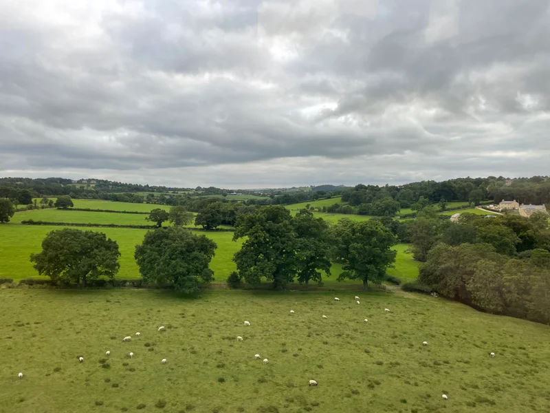 Baaaa - gallery image 1