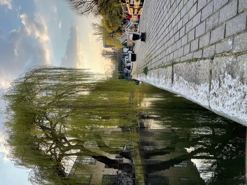 Regents Canal - feature image
