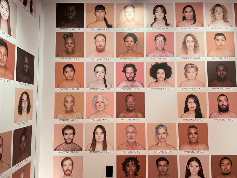 Skin Pantone - feature image