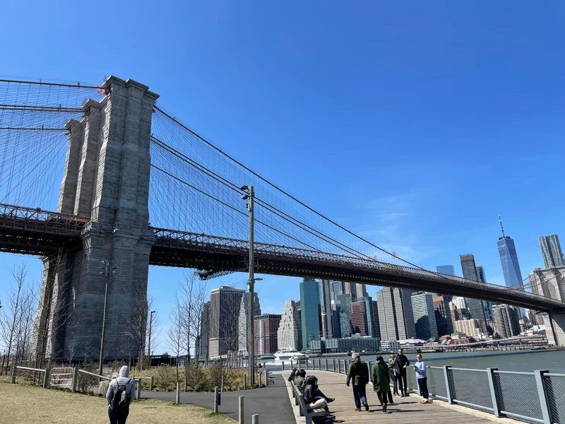 Big Apple - gallery image 1