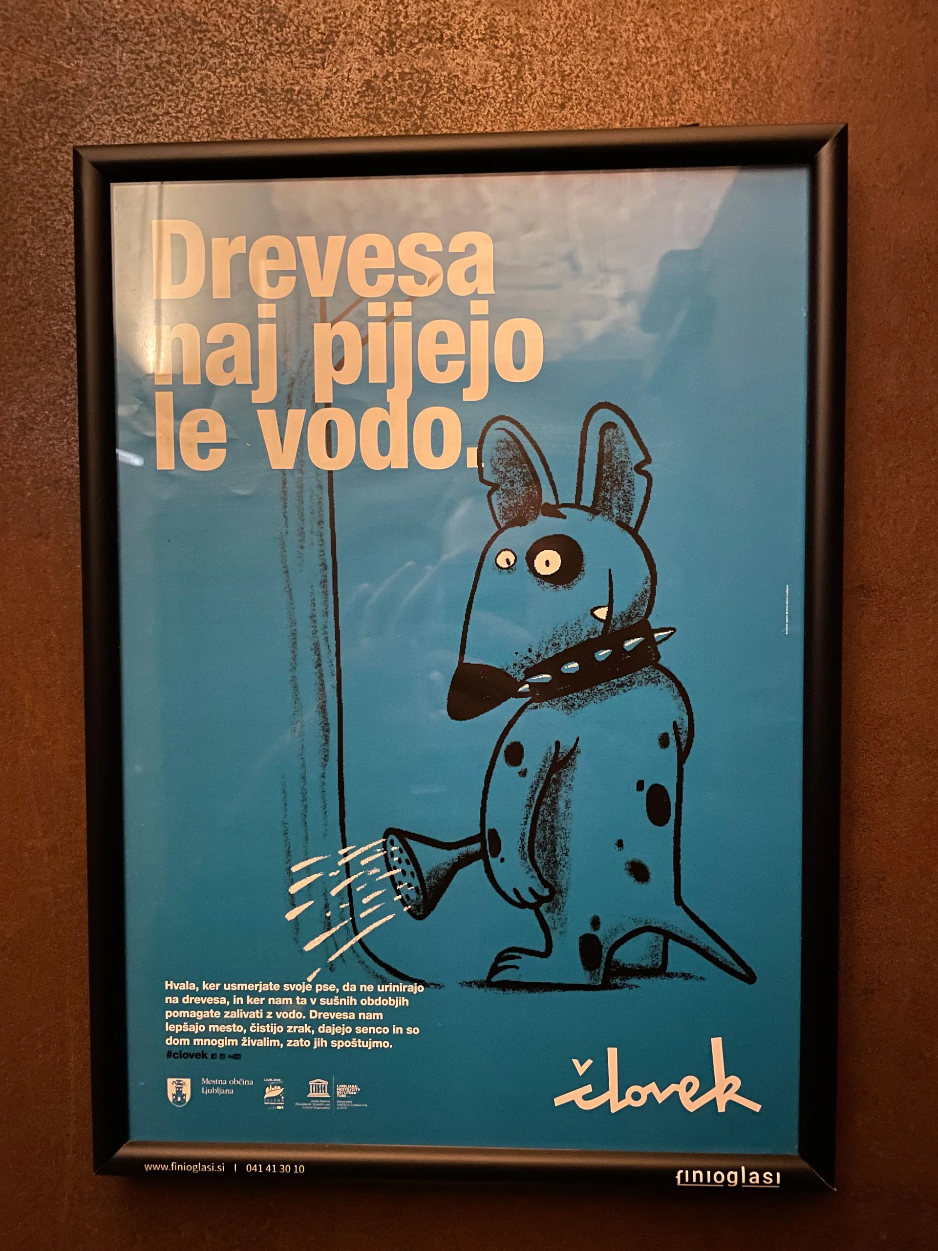 Water the Trees - feature image