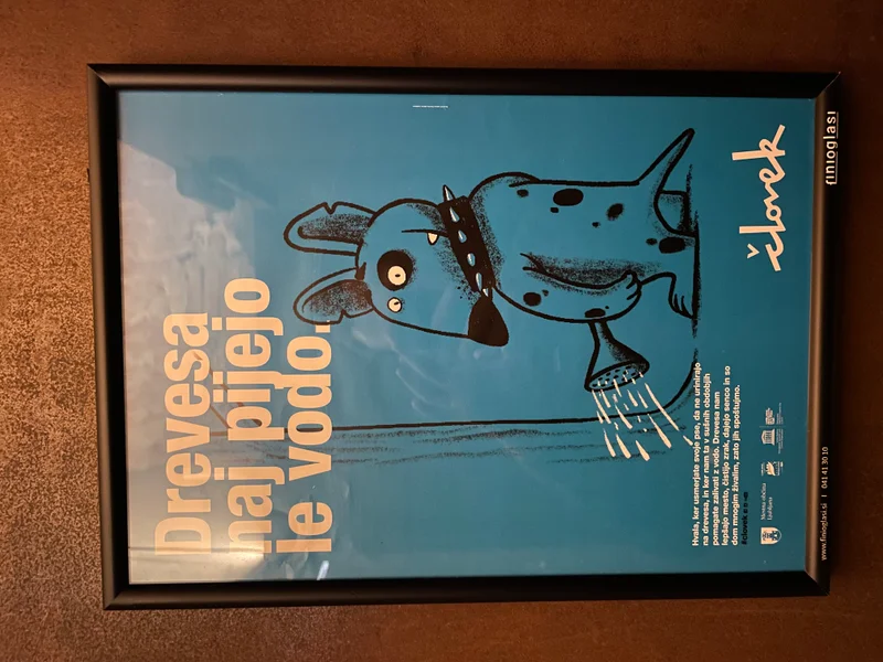 Water the Trees - feature image