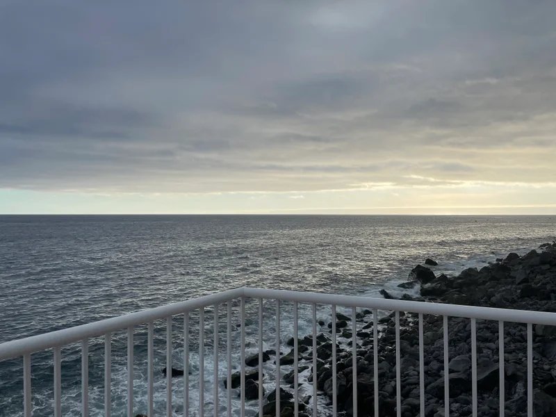 Madeira - gallery image 4