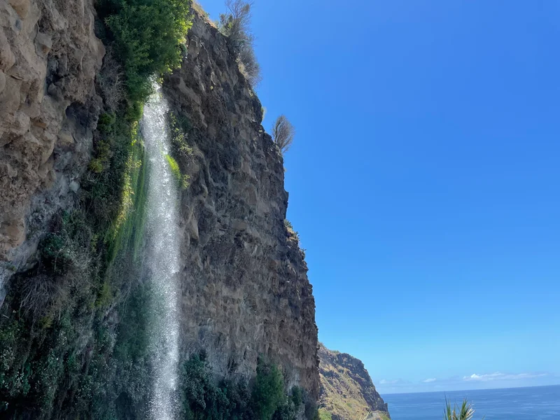 Madeira - gallery image 6