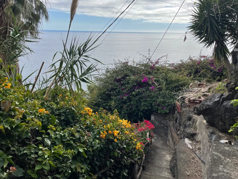 Madeira - gallery image 1